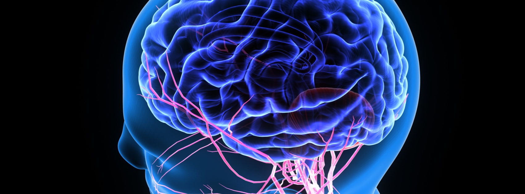 Mercury in Dental Fillings Part 2 Dr. Agatha Bis Oakville Dentist