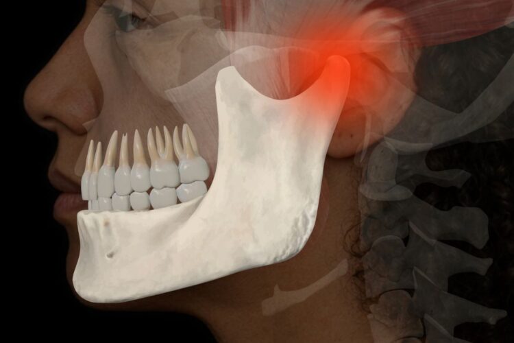 Illustration of the lower jaw and temporomandibular joint (TMJ), with the joint area highlighted